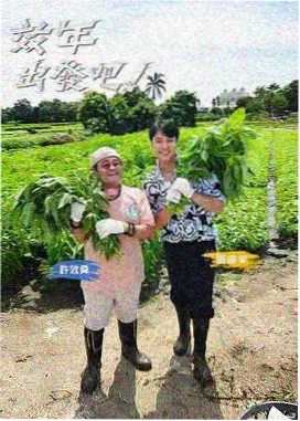深夜修理铺 综艺免费在线观看